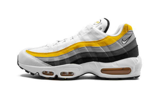Air Max 95 CD7495 100