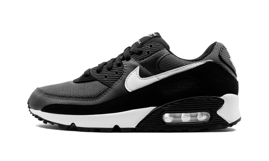 Air Max 90 "Iron Grey" CN8490 002